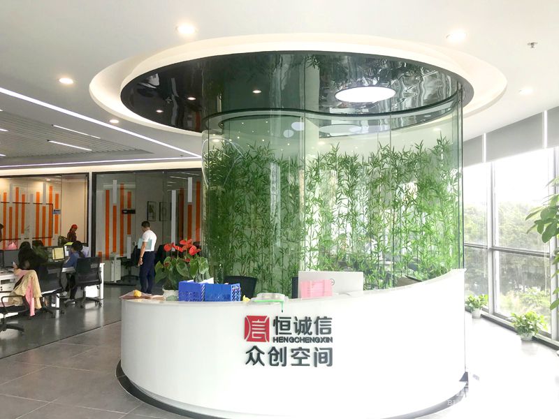 前台-实拍-91桃色APP网站入口装修